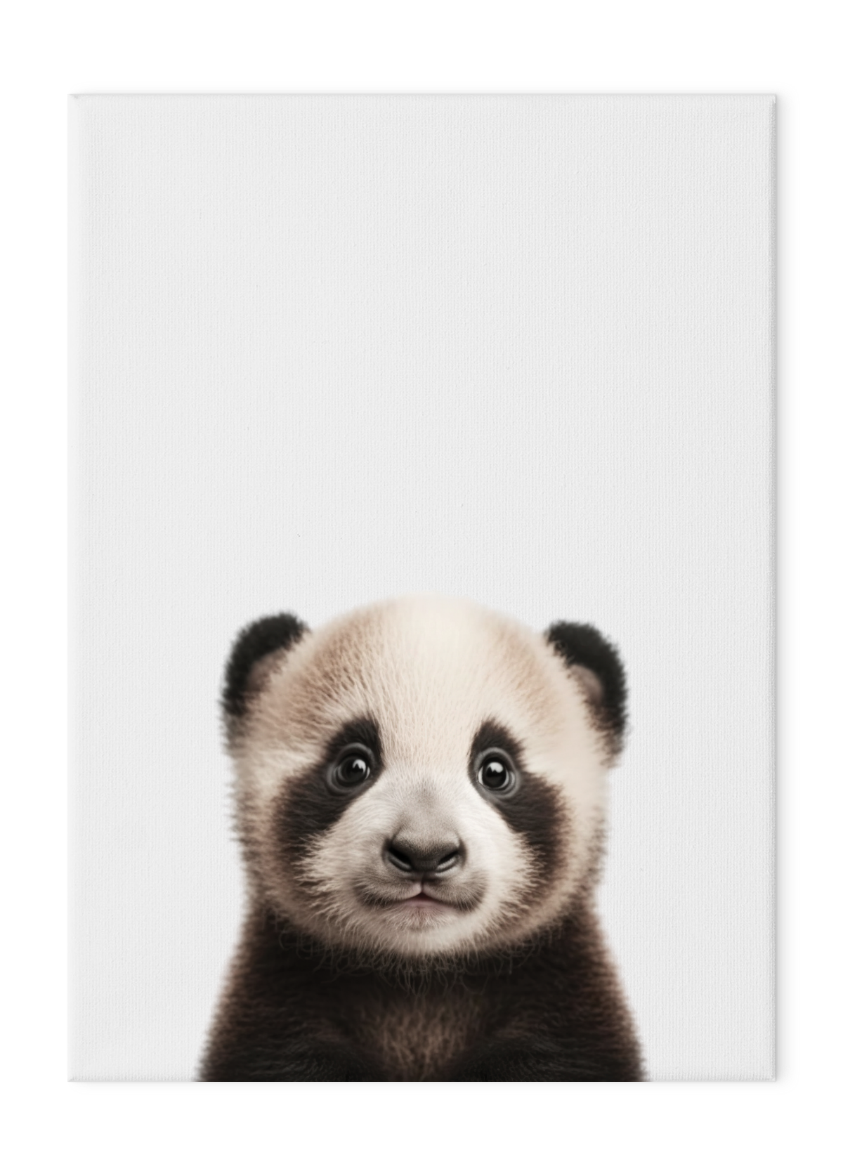 Wildlings Panda Cub Portrait