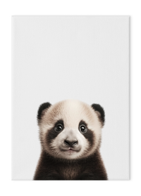 Wildlings Panda Cub Portrait