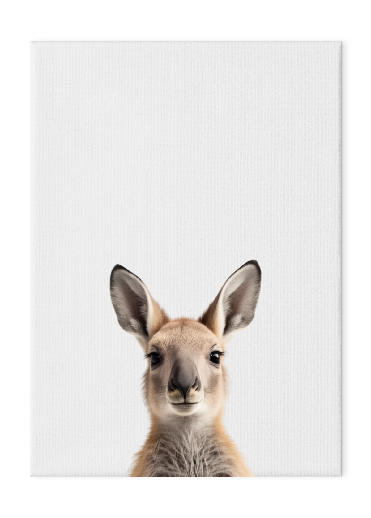 Wildlings Kangaroo Portrait