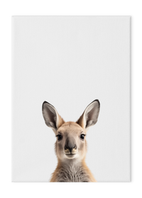 Wildlings Kangaroo Portrait