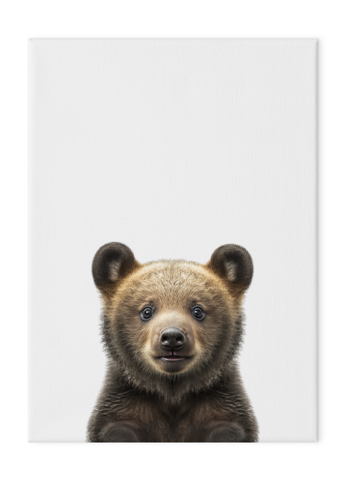 Wildlings Bear Cub Portrait