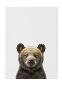 Wildlings Bear Cub Portrait