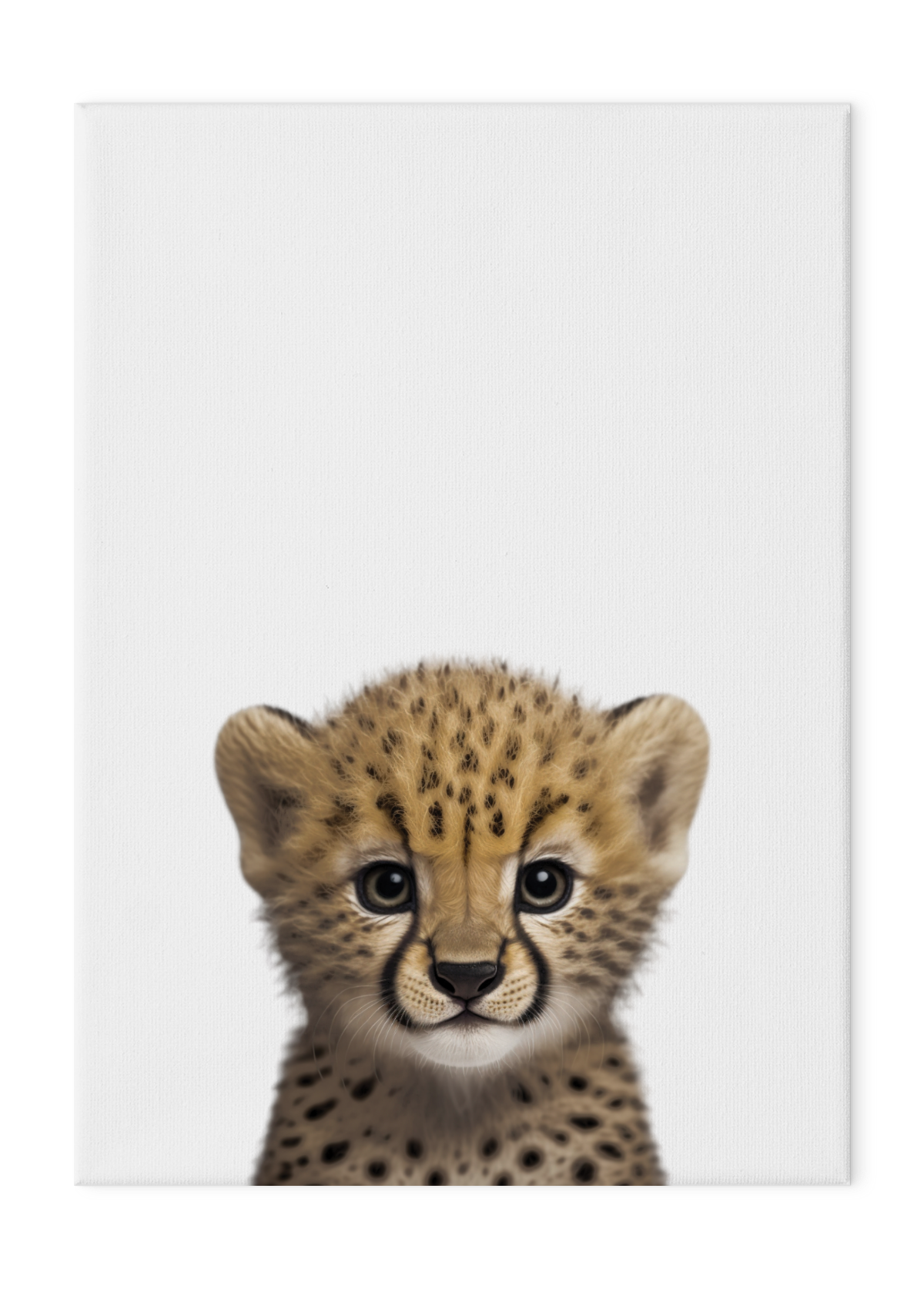 Wildlings Cheetah Cub Portrait