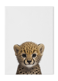 Wildlings Cheetah Cub Portrait