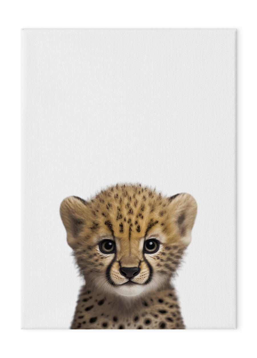 Wildlings Cheetah Cub Portrait