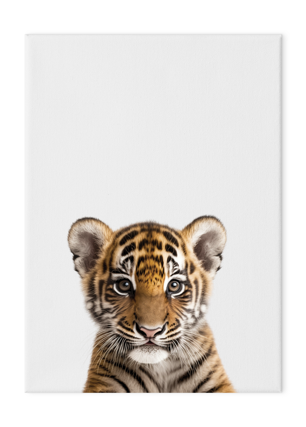 Wildlings Tiger Portrait