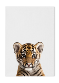 Wildlings Tiger Portrait