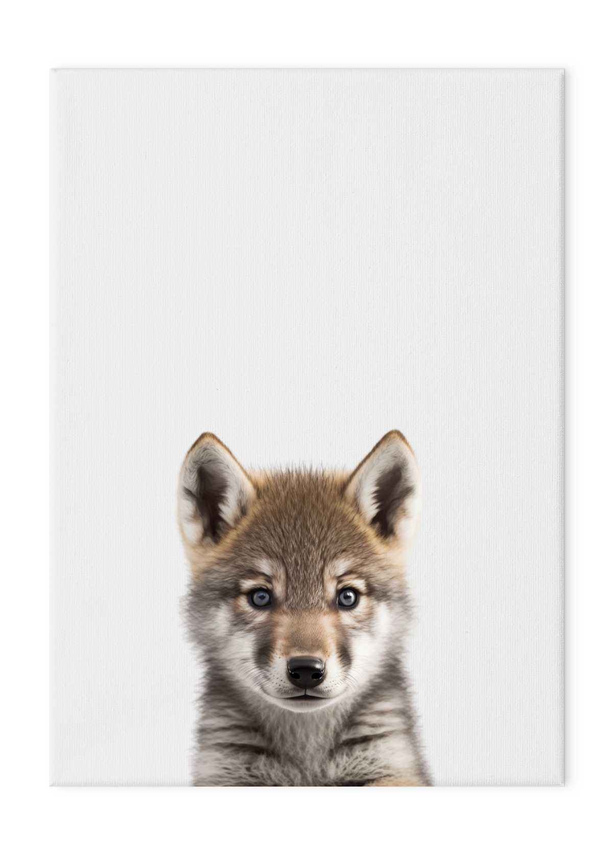 Wildlings Wolf Portrait