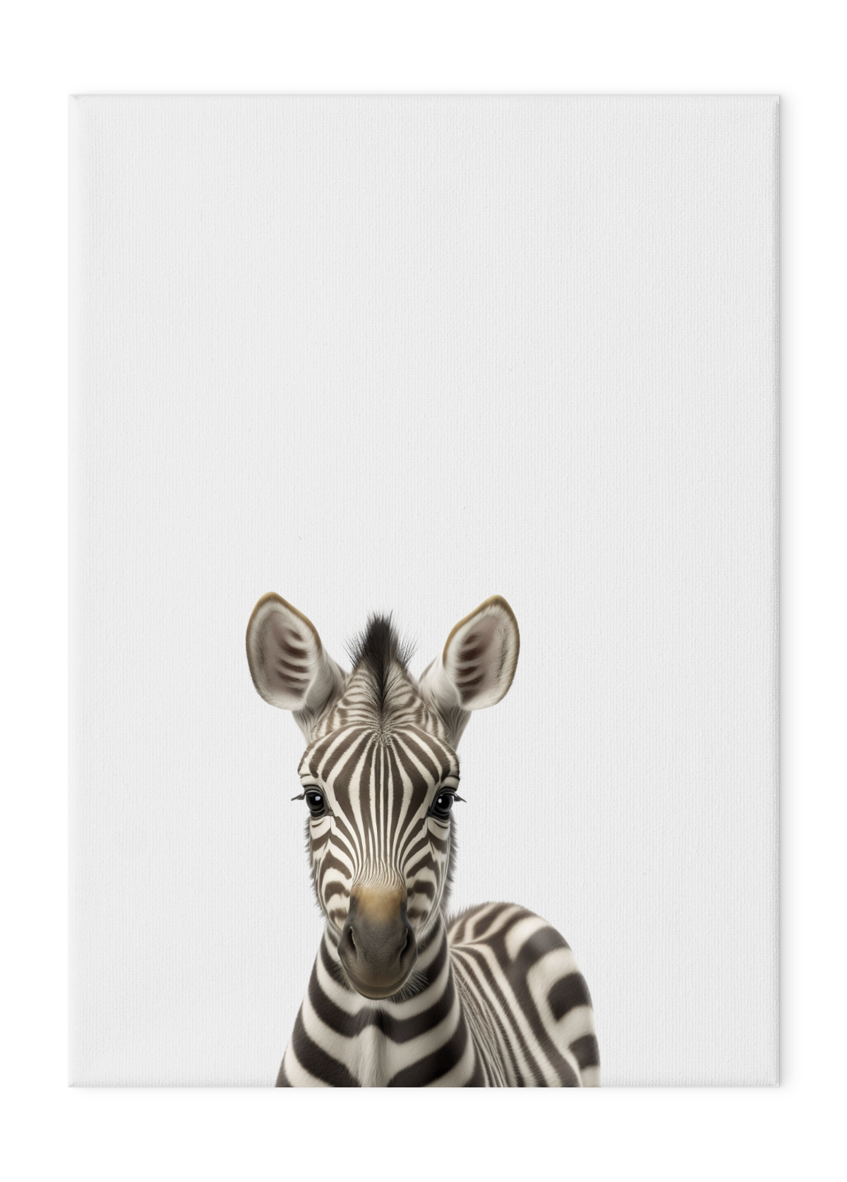 Wildlings Zebra Portrait