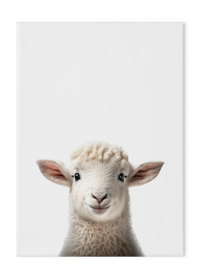 Wildlings Lamb Portrait