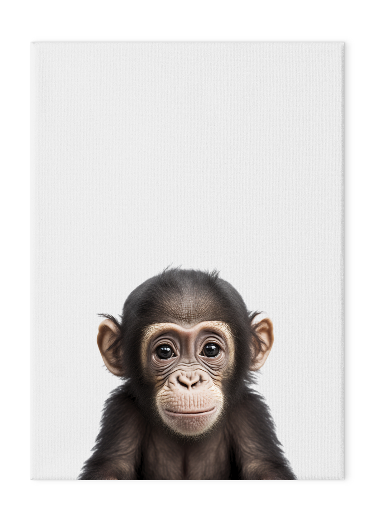 Wildlings Chimpanzee Portrait