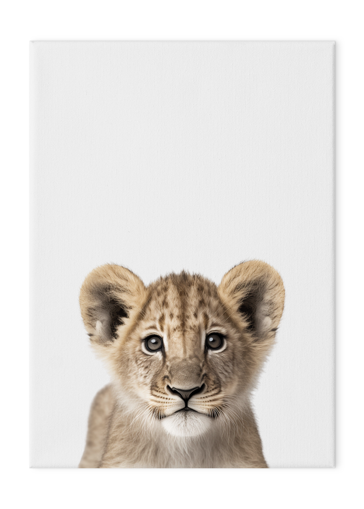 Wildlings Lion Cub Portrait