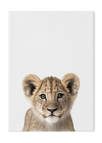 Wildlings Lion Cub Portrait