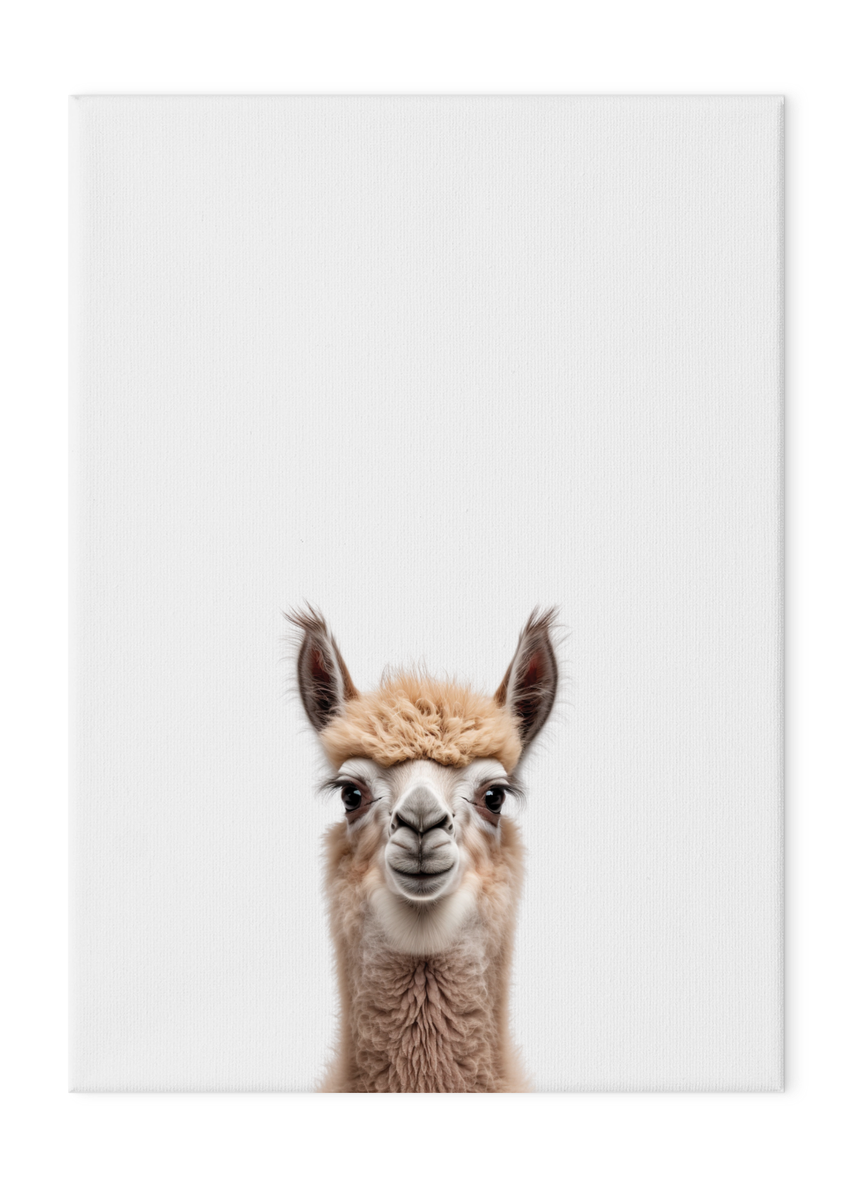 Wildlings Llama Portrait