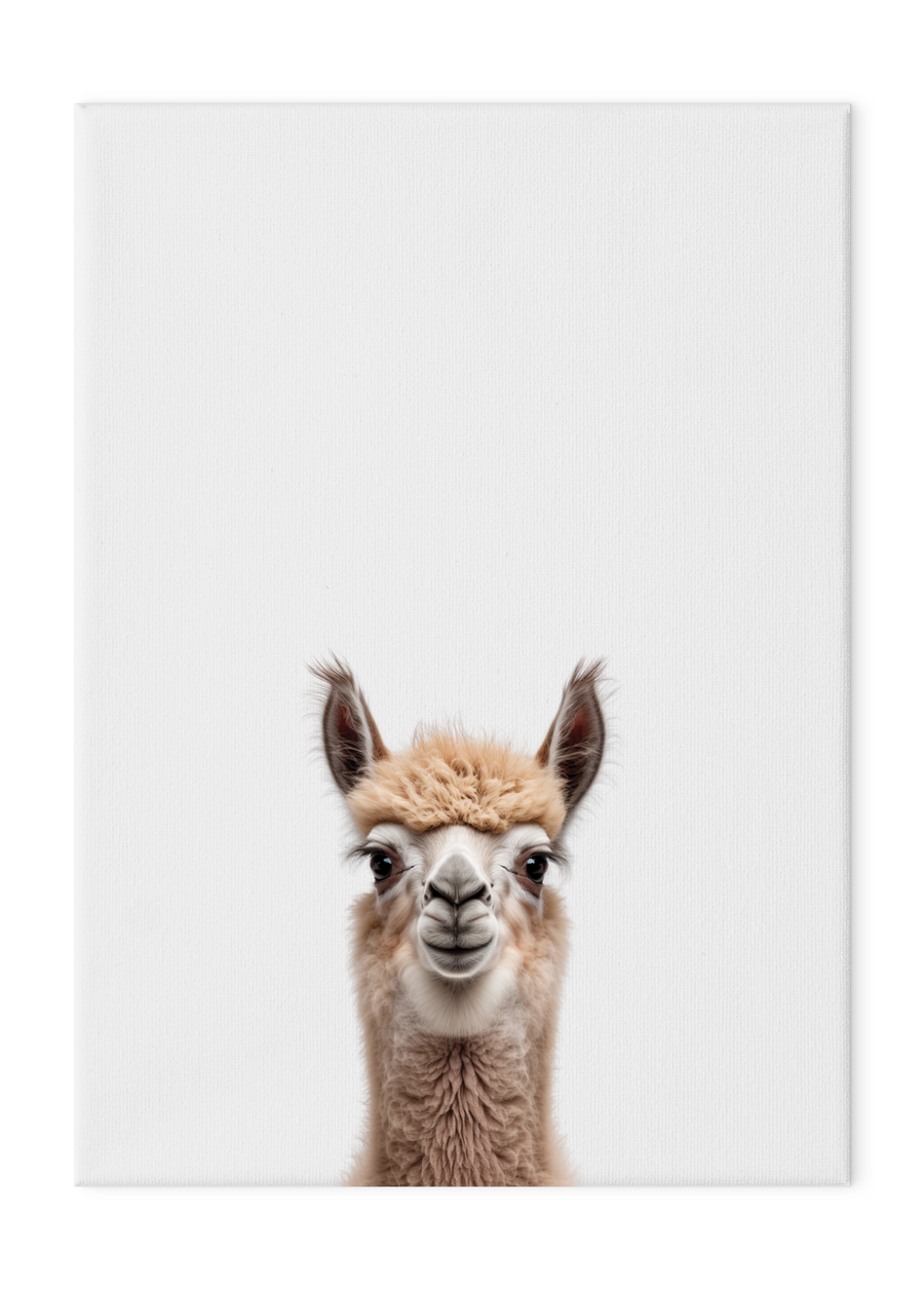 Wildlings Llama Portrait