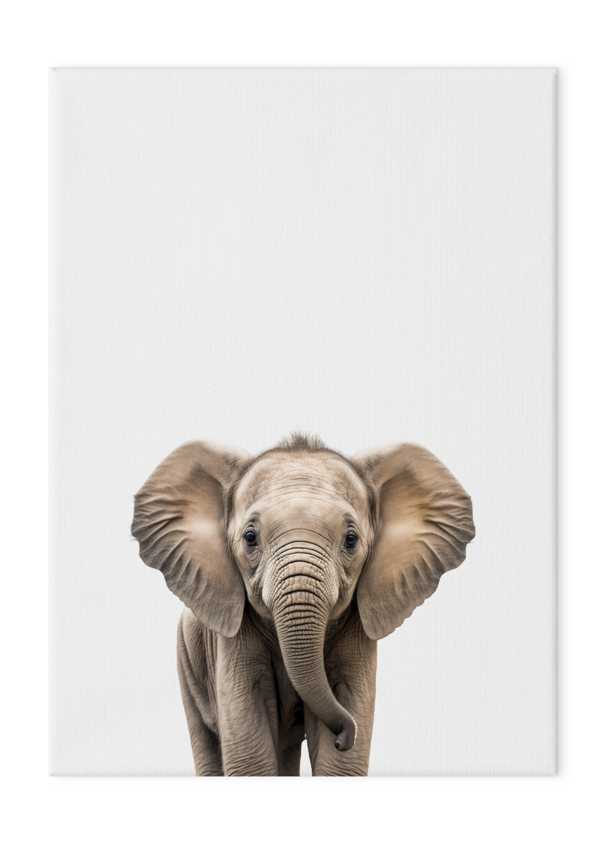 Wildlings Elephant Portrait