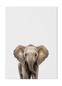Wildlings Elephant Portrait