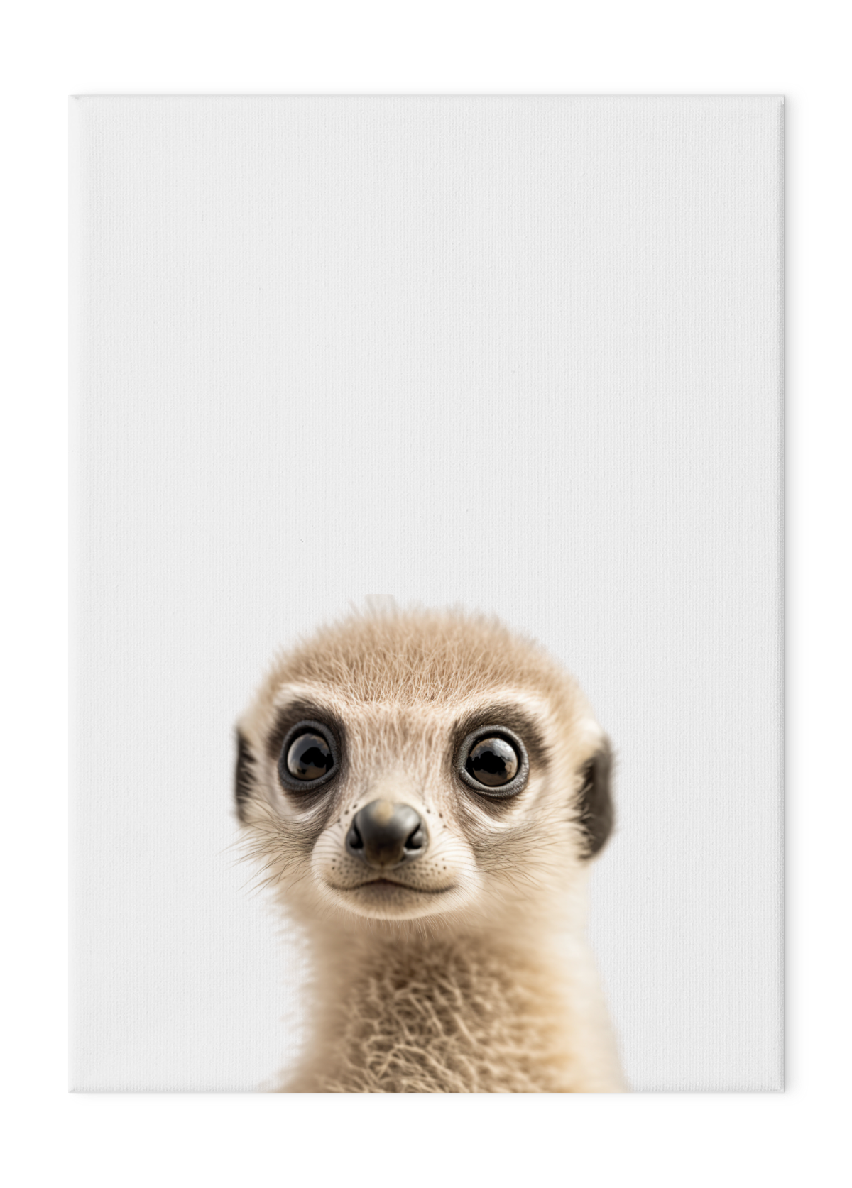 Wildlings Meerkat Portrait