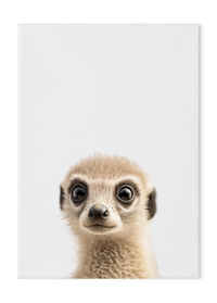 Wildlings Meerkat Portrait