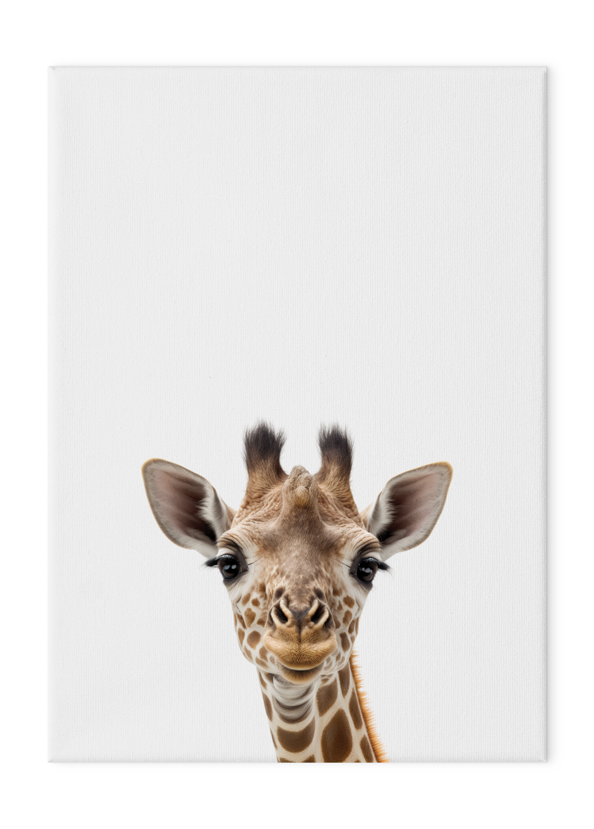 Wildlings Giraffe Portrait