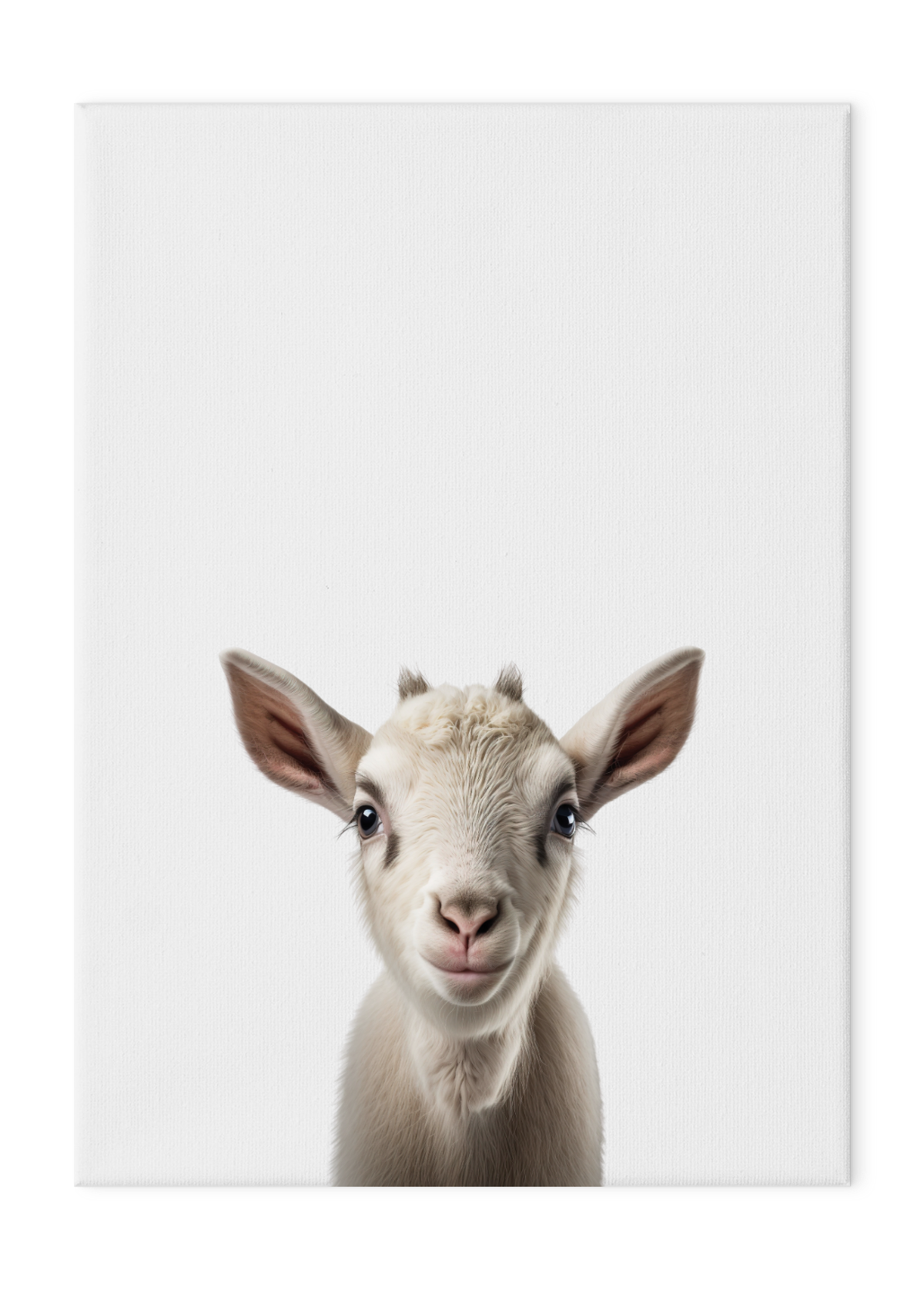 Wildlings Goat Portrait
