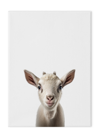 Wildlings Goat Portrait