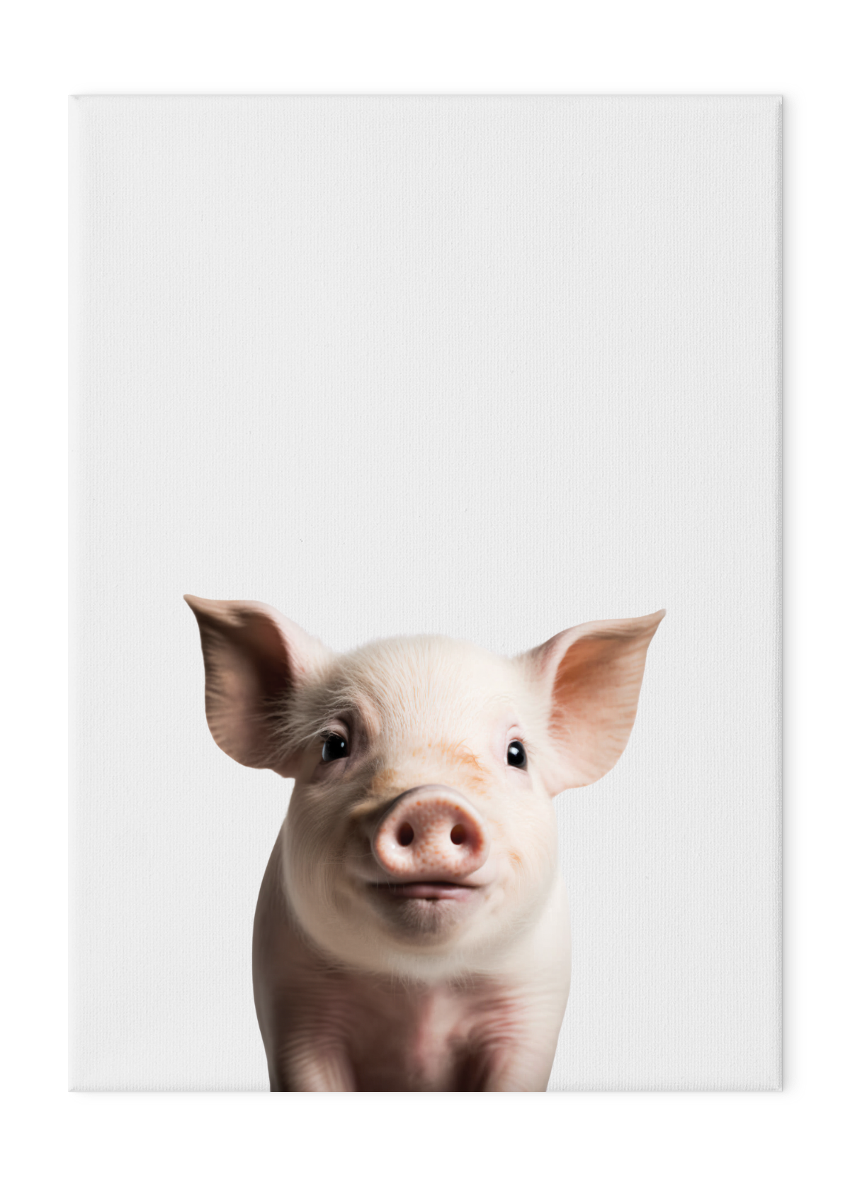 Wildlings Pig Portrait