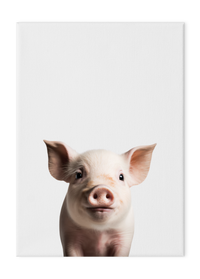 Wildlings Pig Portrait