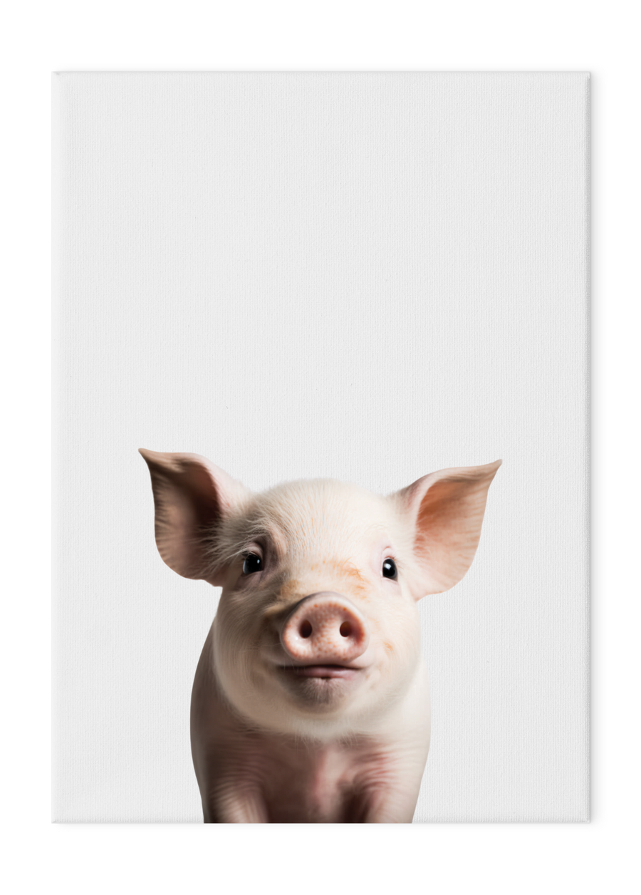 Wildlings Pig Portrait