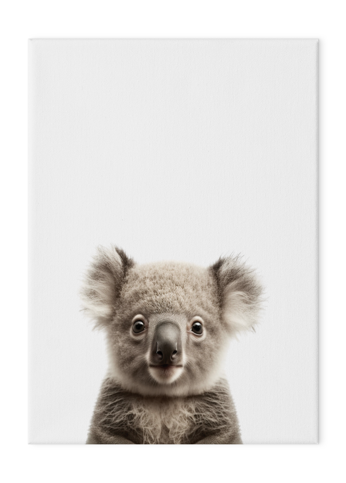 Wildlings Koala Portrait