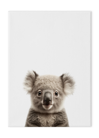 Wildlings Koala Portrait