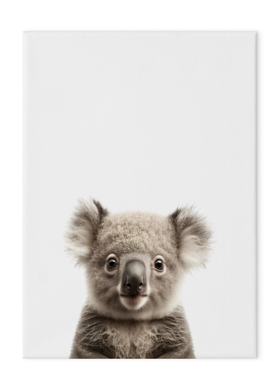 Wildlings Koala Portrait