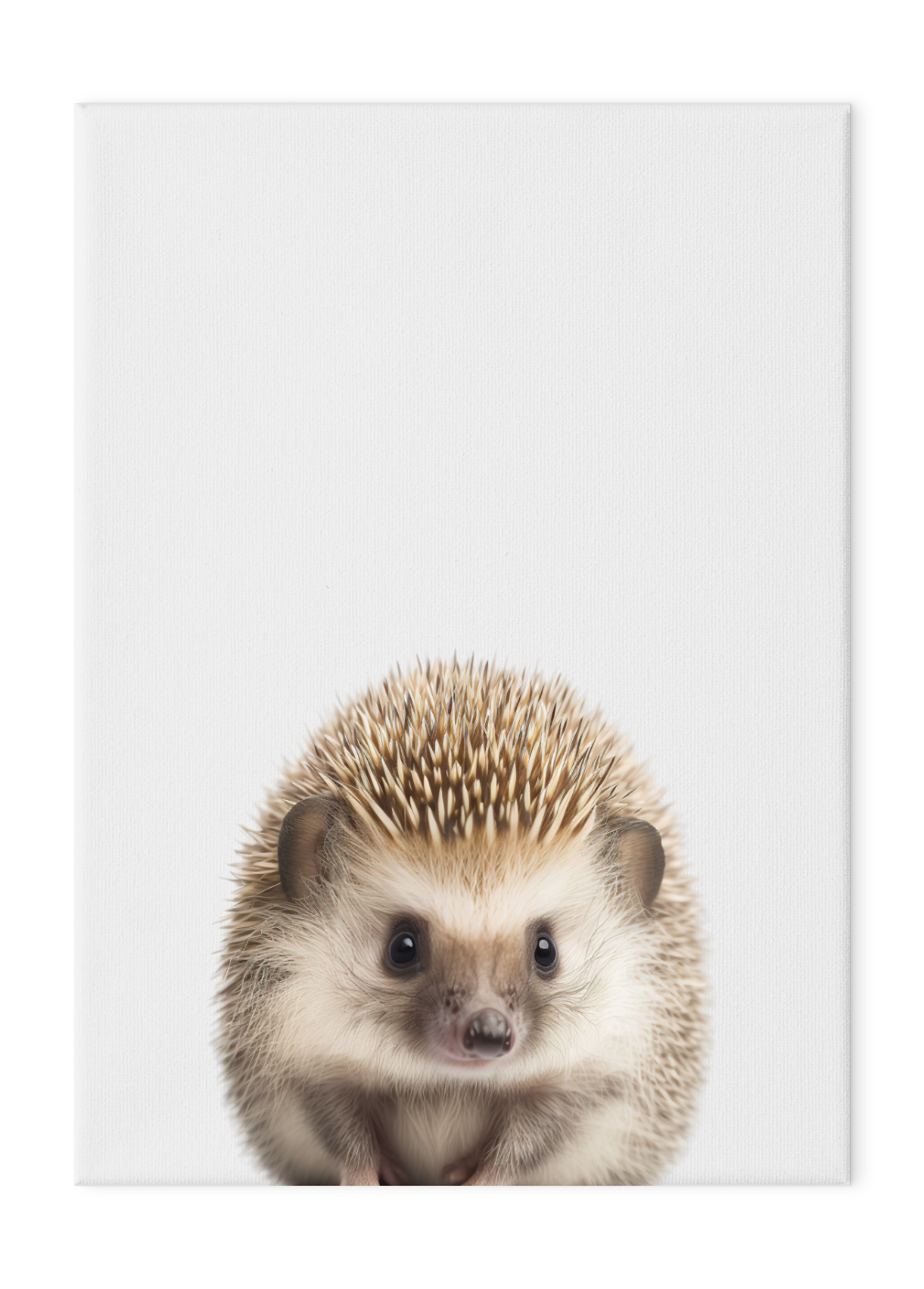 Wildlings Hedgehog Portrait