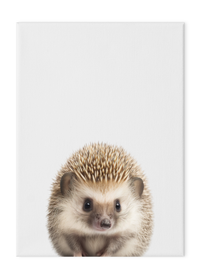 Wildlings Hedgehog Portrait