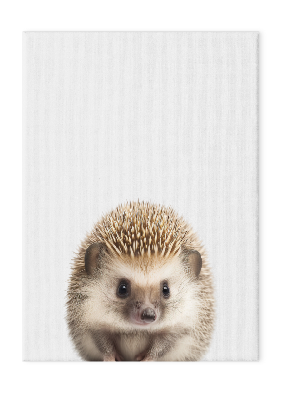 Wildlings Hedgehog Portrait
