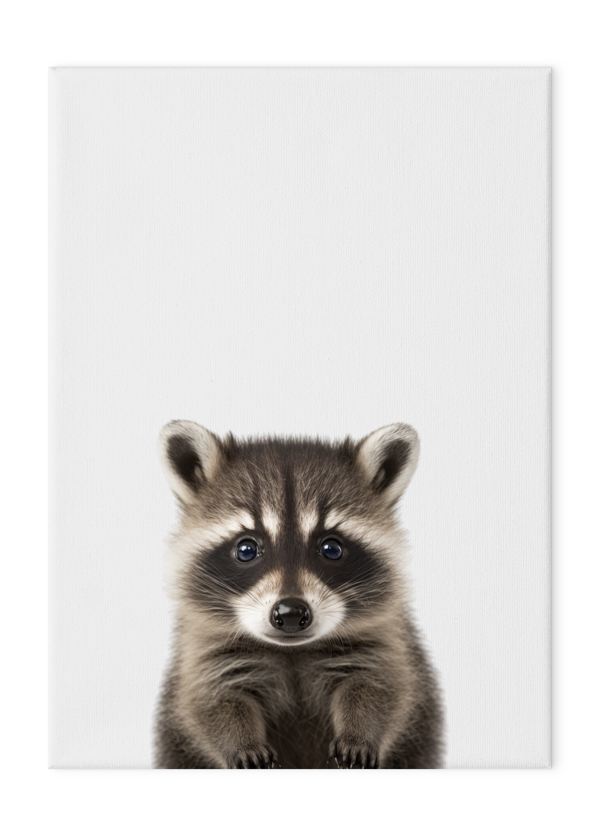 Wildlings Raccoon Portrait