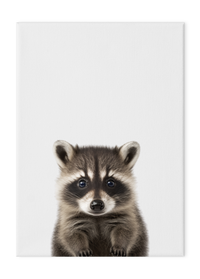 Wildlings Raccoon Portrait