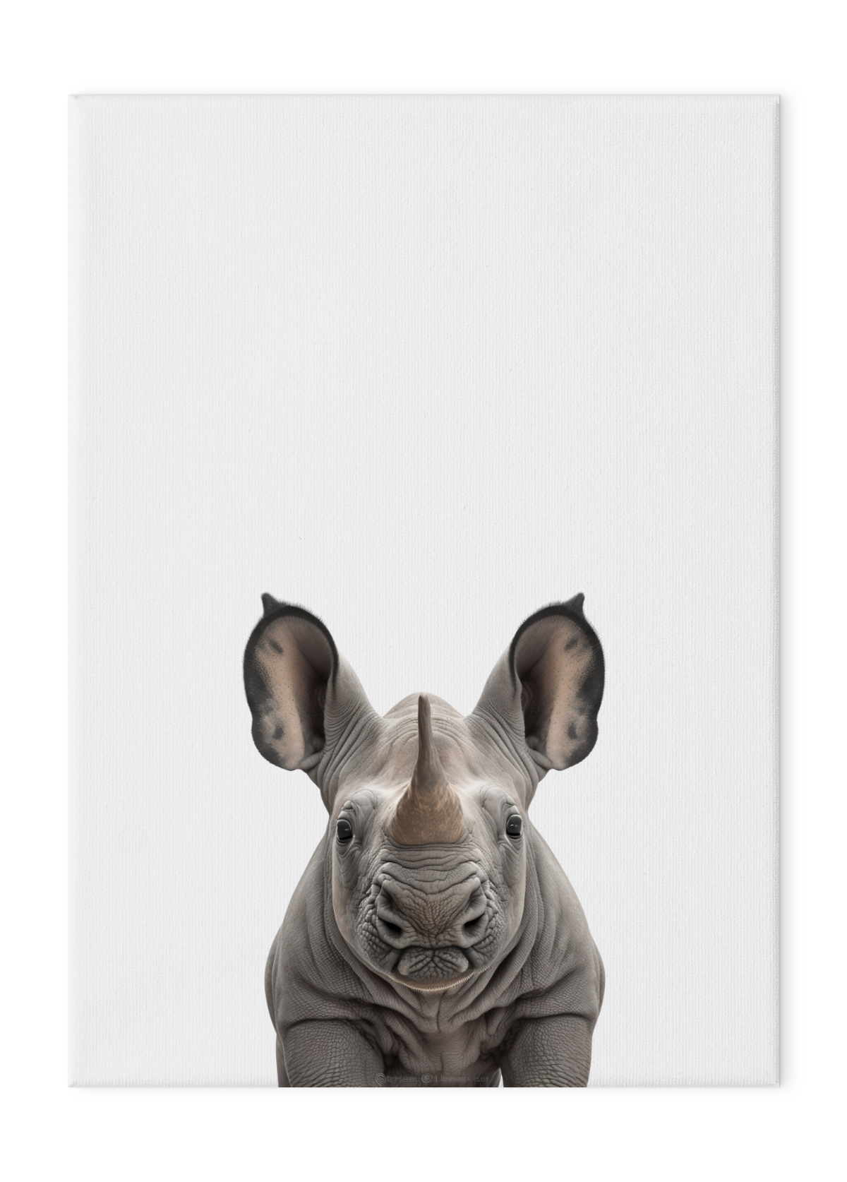 Wildlings Rhino Portrait