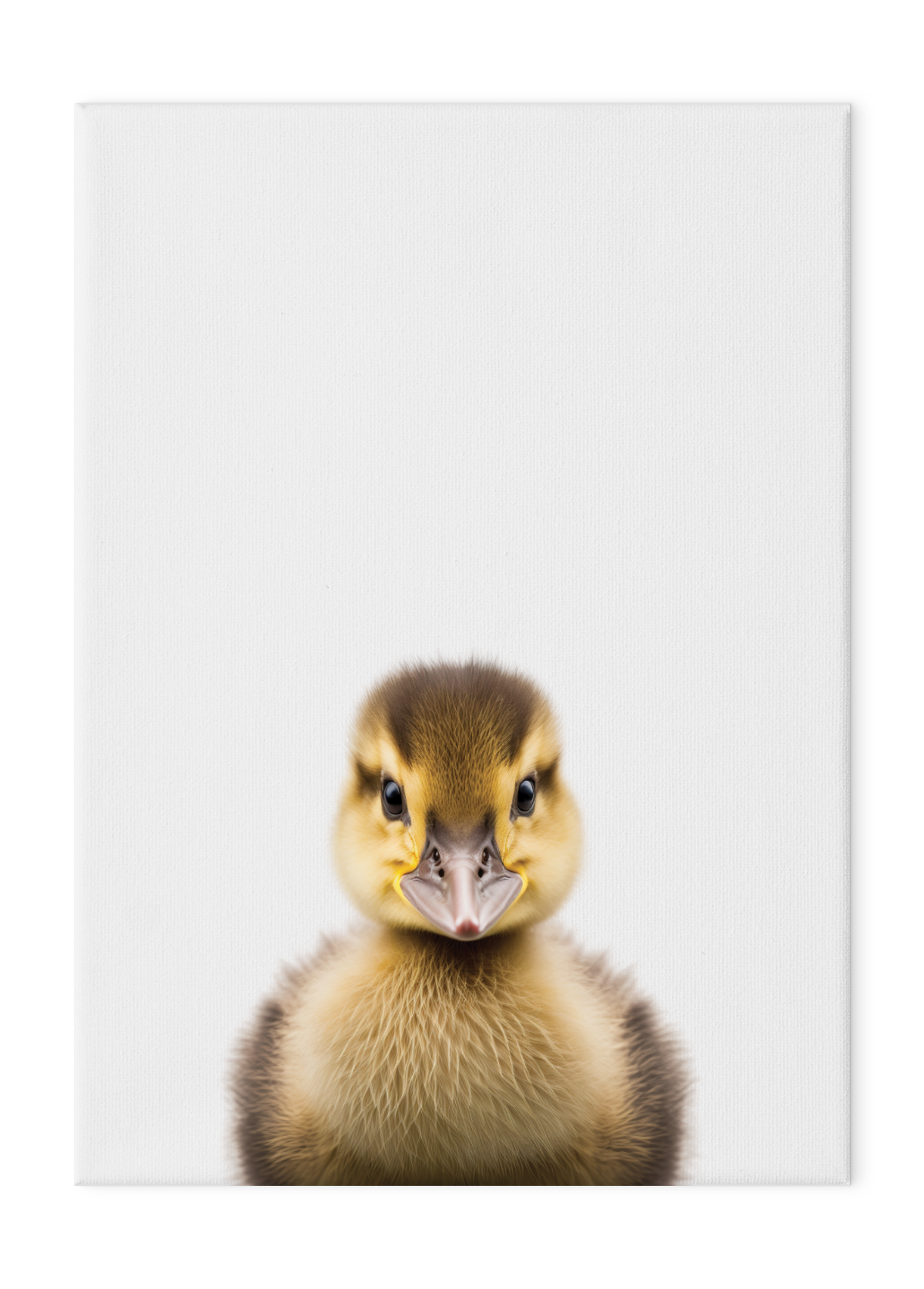 Wildlings Duckling Portrait