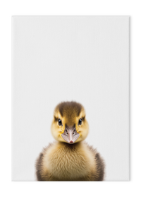 Wildlings Duckling Portrait