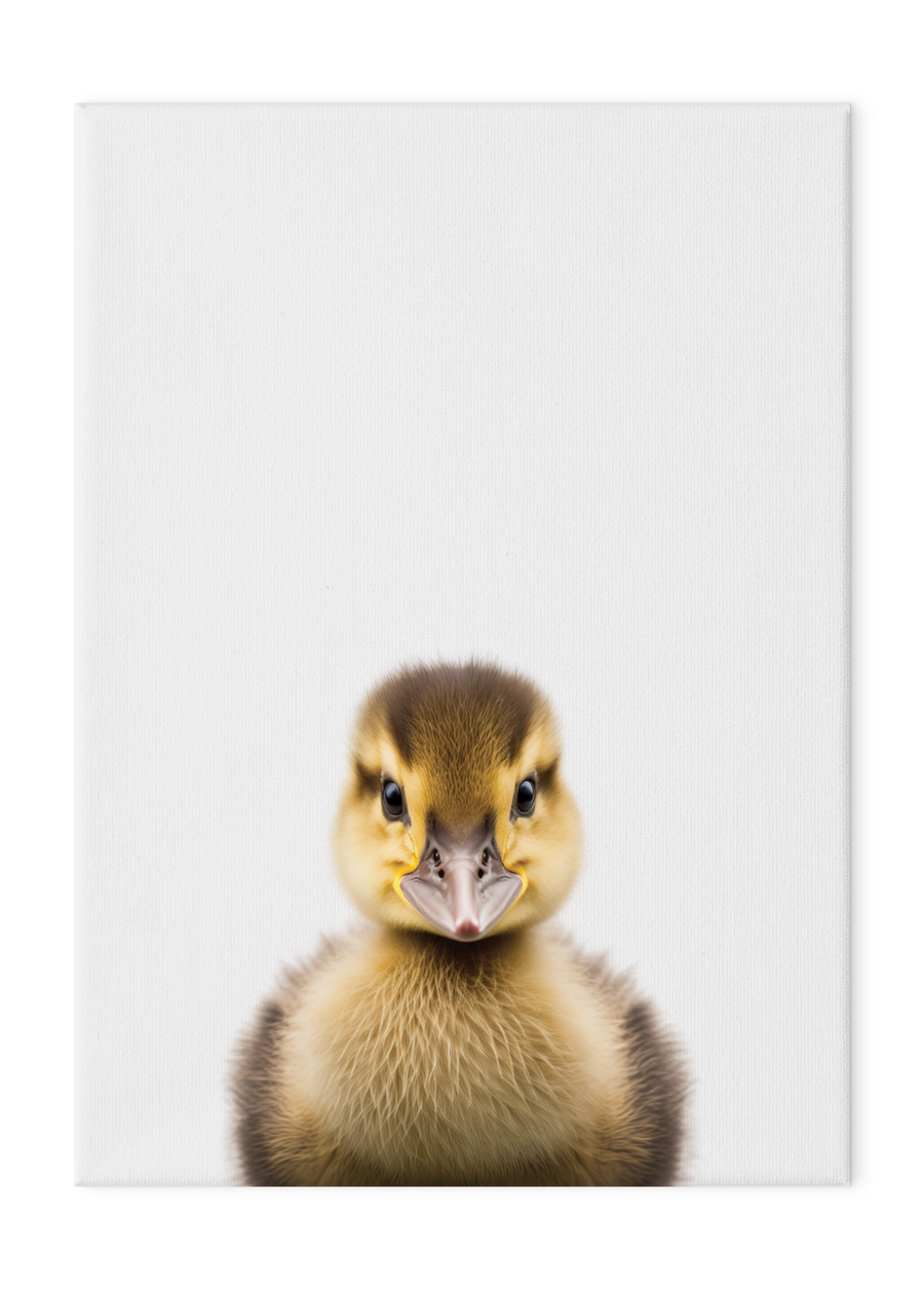 Wildlings Duckling Portrait
