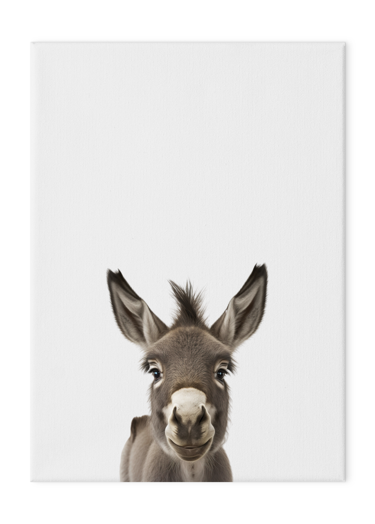 Wildlings Donkey Portrait