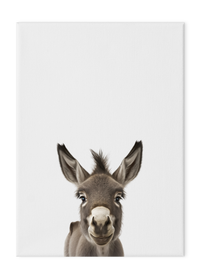 Wildlings Donkey Portrait