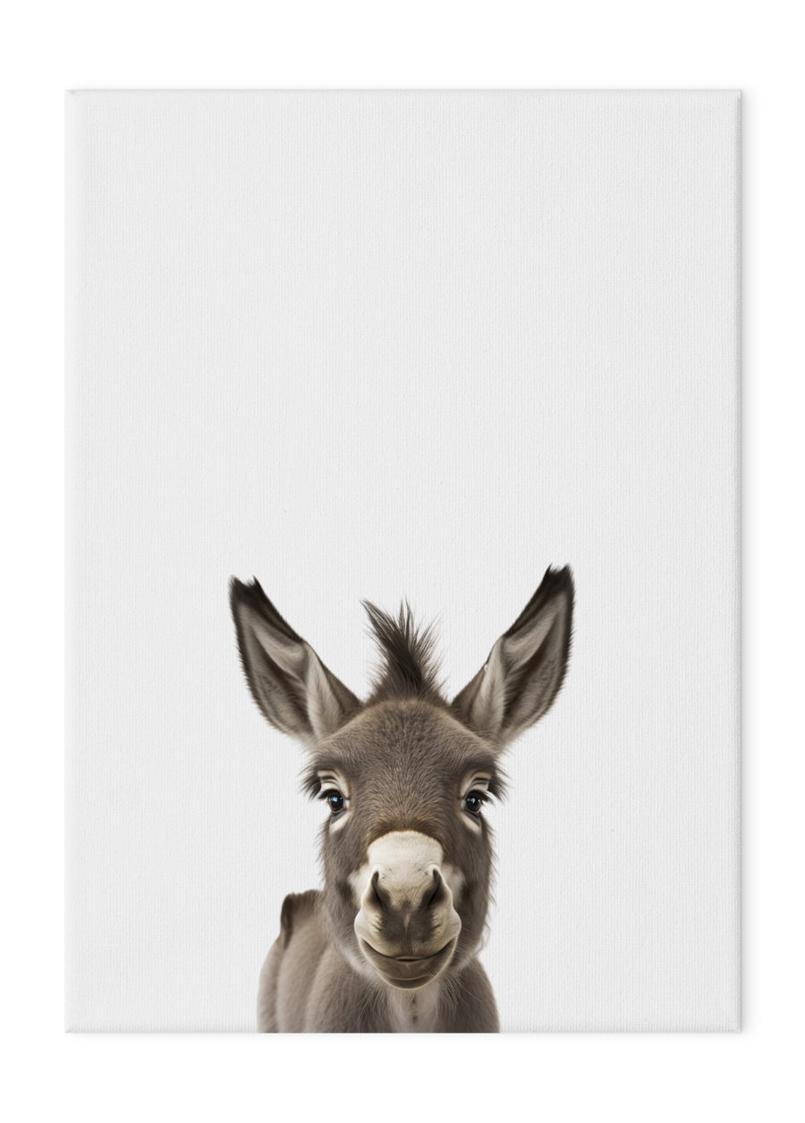 Wildlings Donkey Portrait