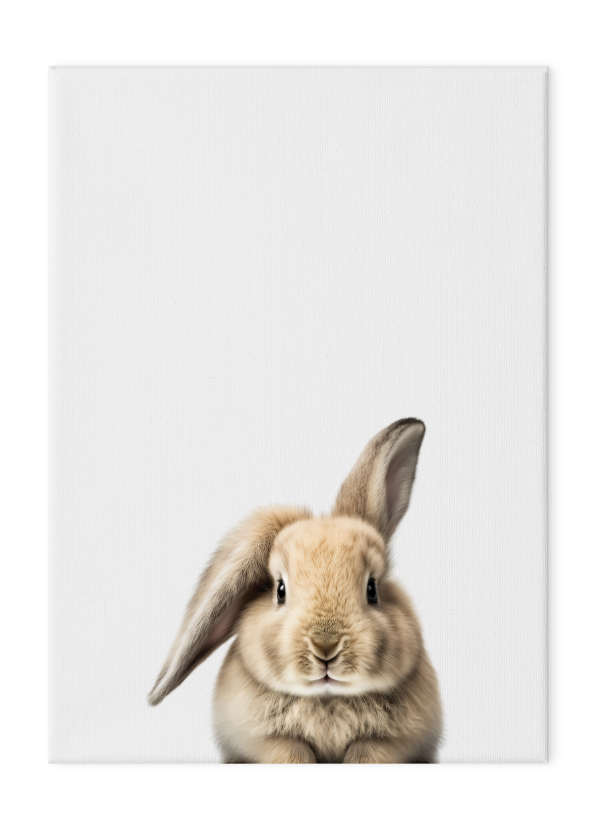 Wildlings Rabbit Portrait