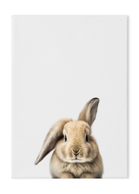 Wildlings Rabbit Portrait