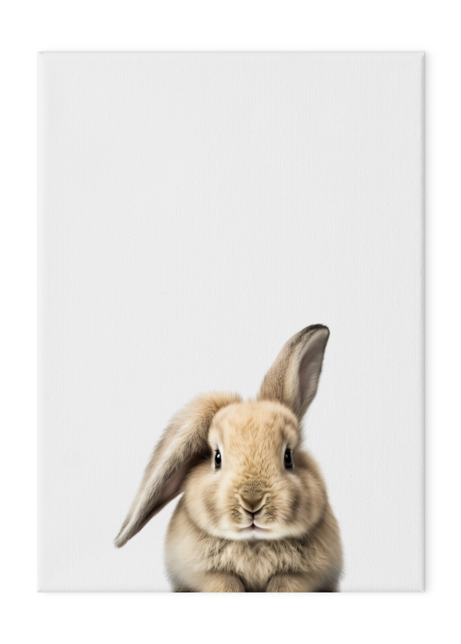 Wildlings Rabbit Portrait